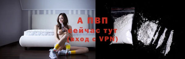 ECSTASY Абаза