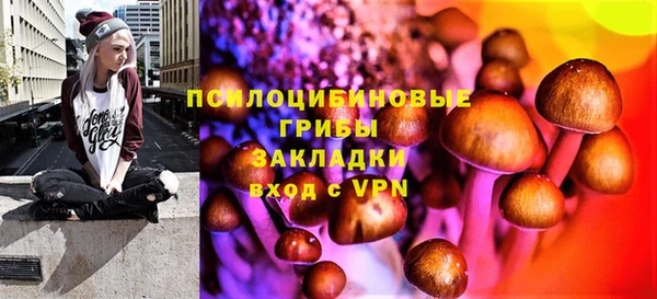 хмурый Алзамай