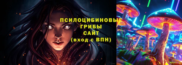 хмурый Алзамай