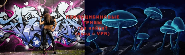 хмурый Алзамай
